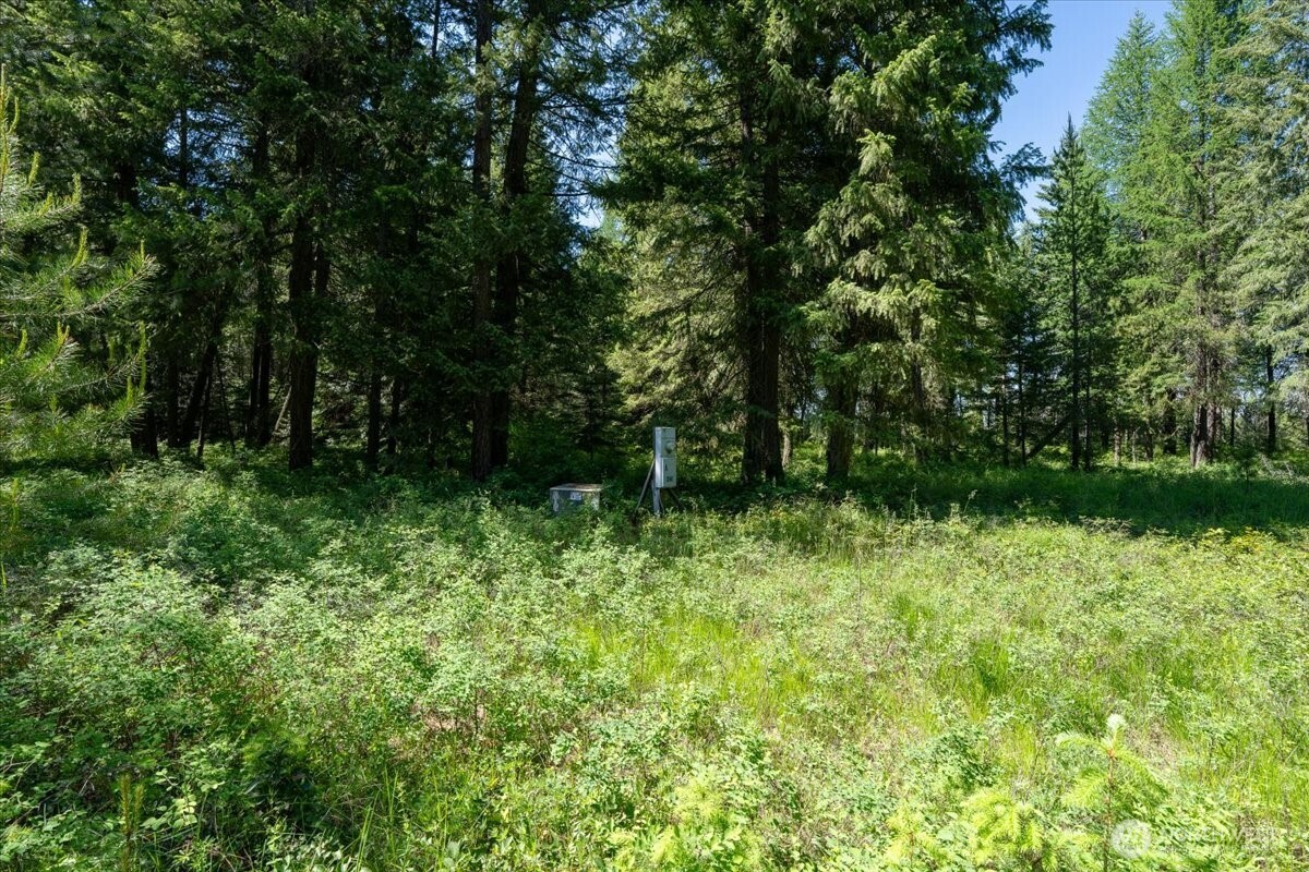 4668 Williams Valley Road Property Photo 30