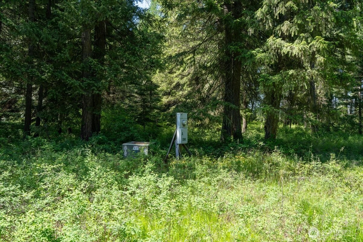 4668 Williams Valley Road Property Photo 31