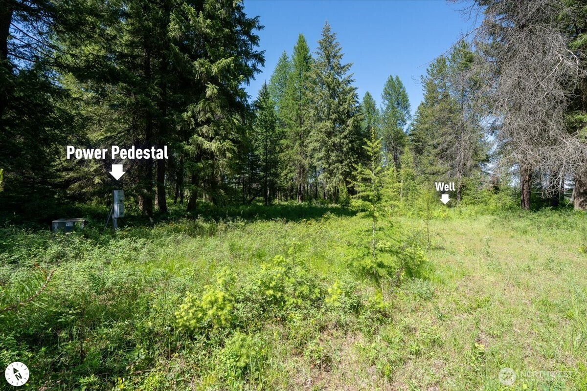 4668 Williams Valley Road Property Photo 32