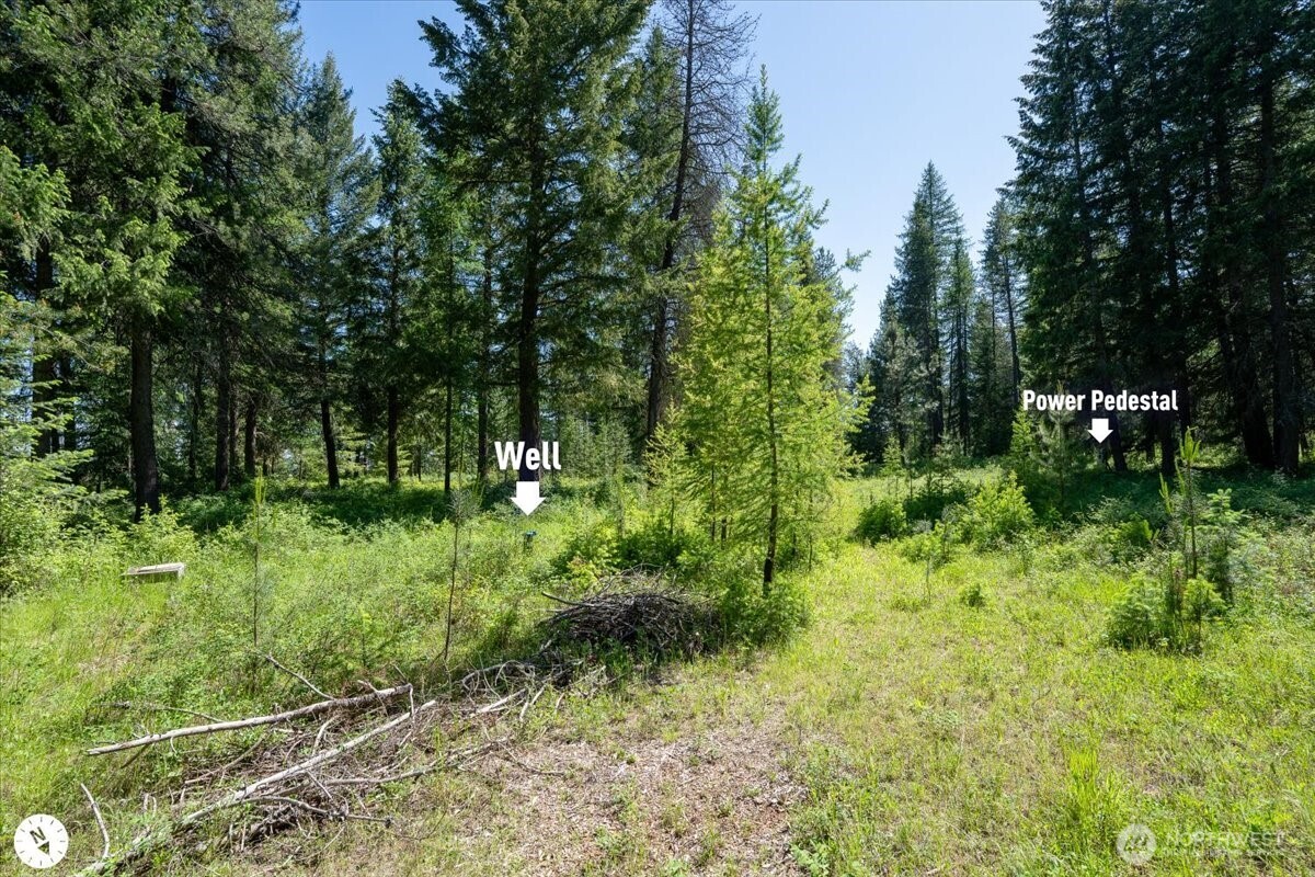 4668 Williams Valley Road Property Photo 33