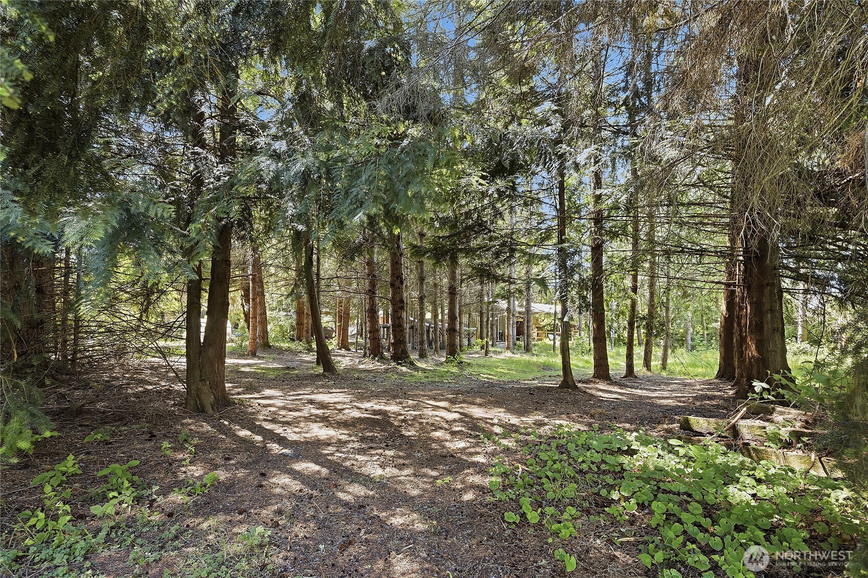 16227 Forty Five Road Property Photo 28