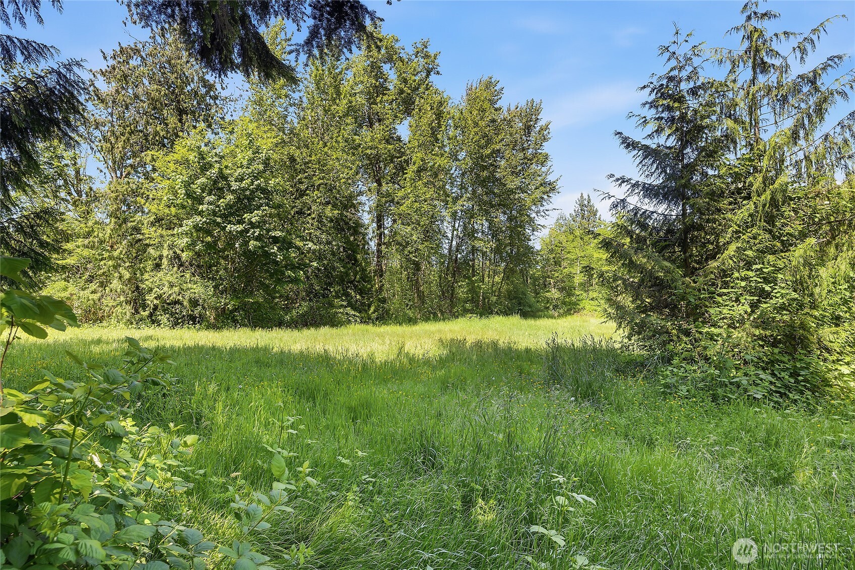 16227 Forty Five Road Property Photo 29