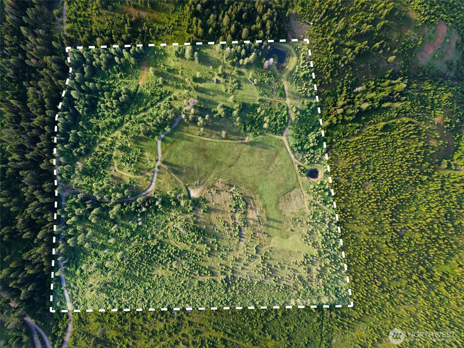 1335 Payne Hollow Road Property Photo 5