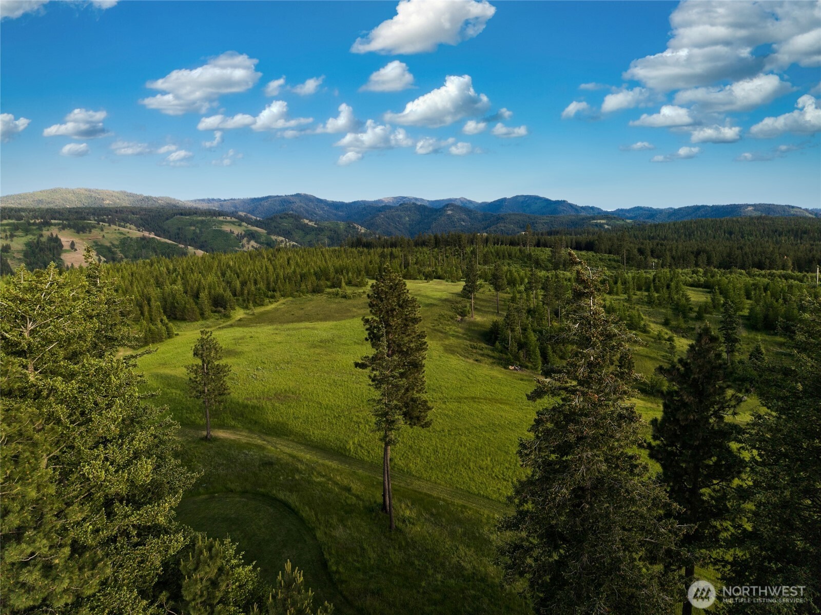 1335 Payne Hollow Road Property Photo 17