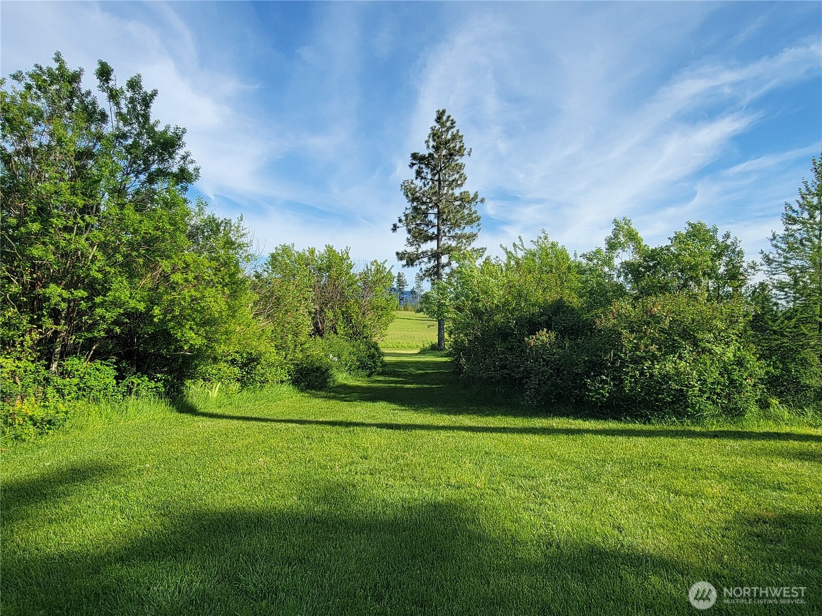 1335 Payne Hollow Road Property Photo 19