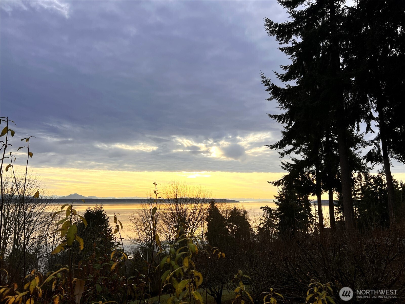 663 Vesper Way Property Photo 15