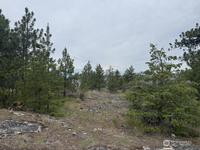 111 Tbd Patterson Creek Property Photo 2