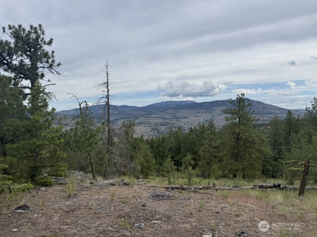 111 Tbd Patterson Creek Property Photo 3