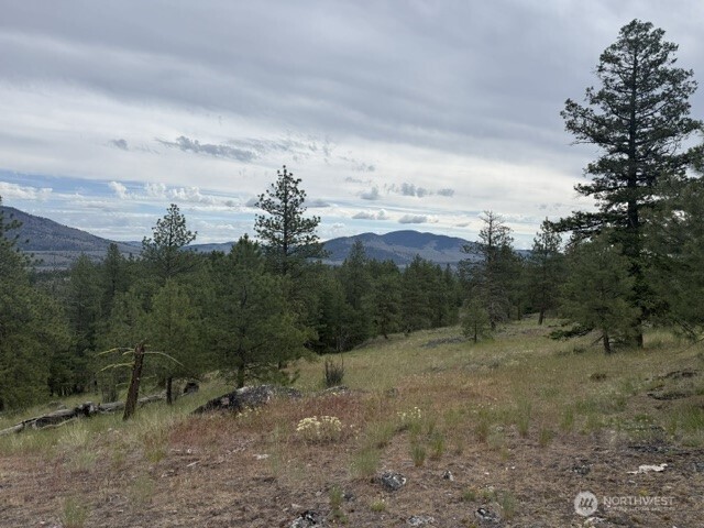 111 Tbd Patterson Creek Property Photo 4