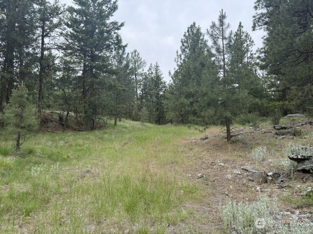 111 Tbd Patterson Creek Property Photo 5