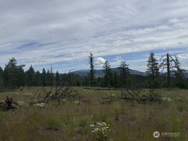 111 Tbd Patterson Creek Property Photo 6