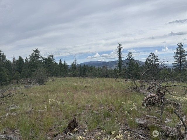111 Tbd Patterson Creek Property Photo 7
