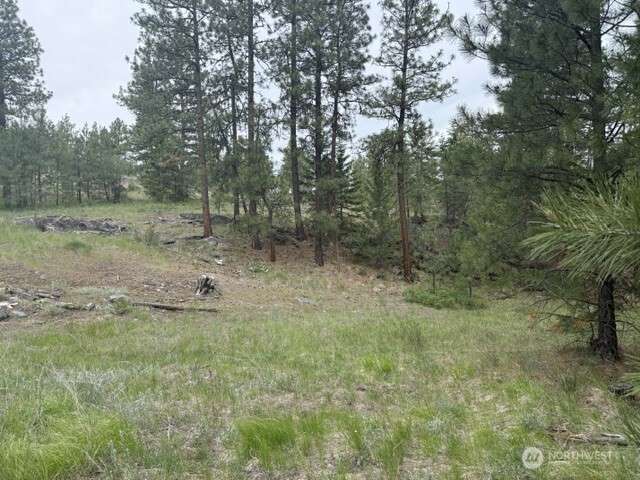 111 Tbd Patterson Creek Property Photo 9