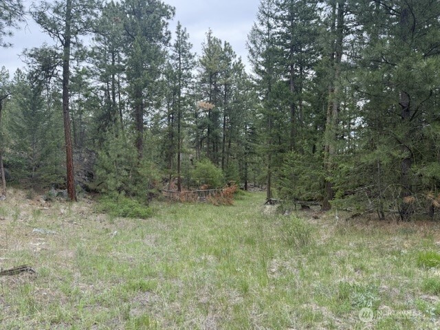 111 Tbd Patterson Creek Property Photo 10