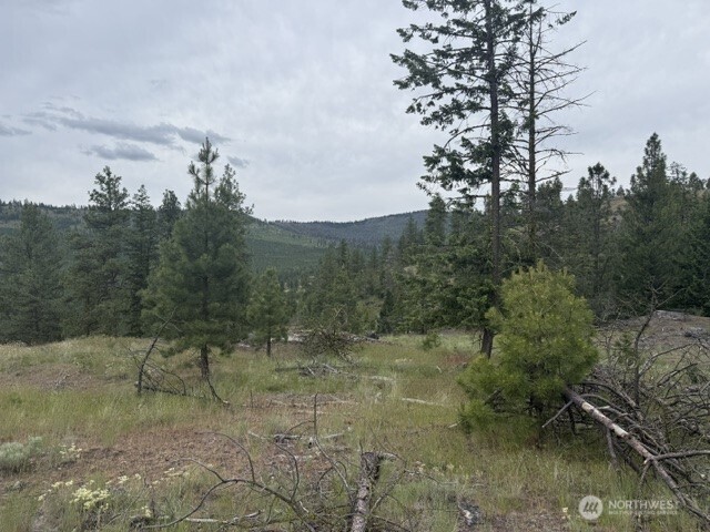 111 Tbd Patterson Creek Property Photo 11