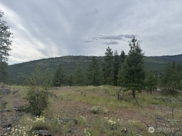 111 Tbd Patterson Creek Property Photo 12