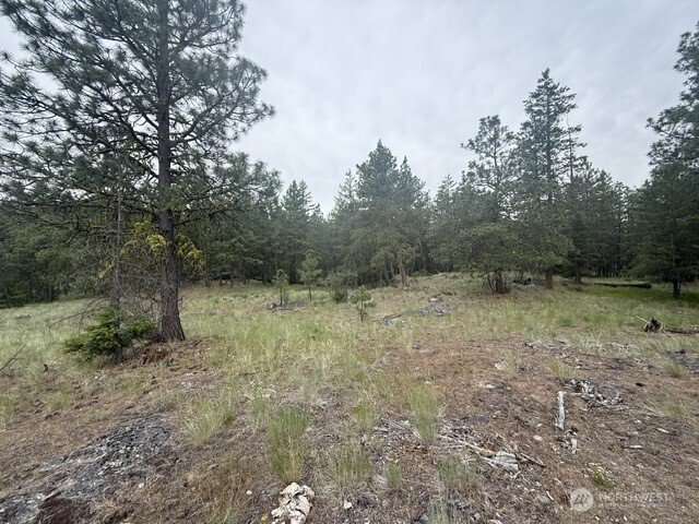 111 Tbd Patterson Creek Property Photo 13