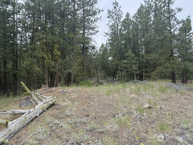 111 Tbd Patterson Creek Property Photo 14