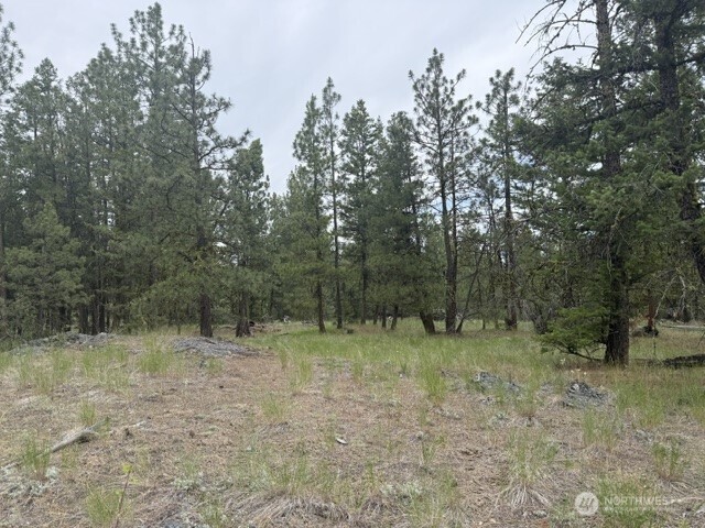 111 Tbd Patterson Creek Property Photo 15