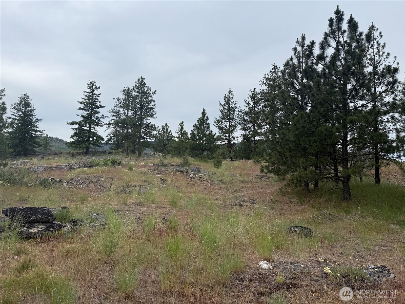111 Tbd Patterson Creek Property Photo 16