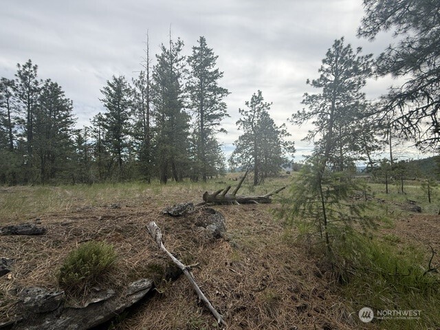 111 Tbd Patterson Creek Property Photo 17