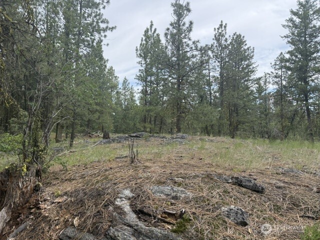 111 Tbd Patterson Creek Property Photo 18
