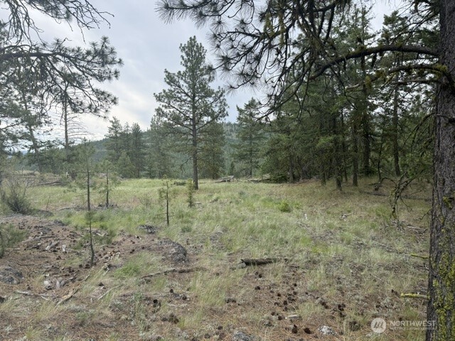111 Tbd Patterson Creek Property Photo 19