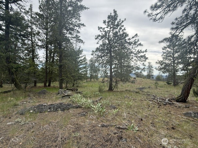 111 Tbd Patterson Creek Property Photo 20