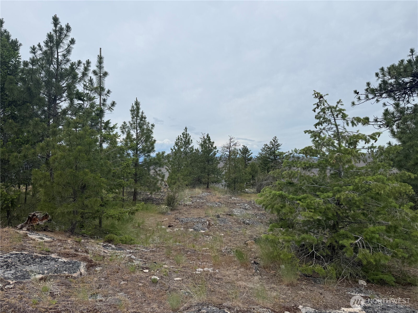 111 Tbd Patterson Creek Property Photo 21