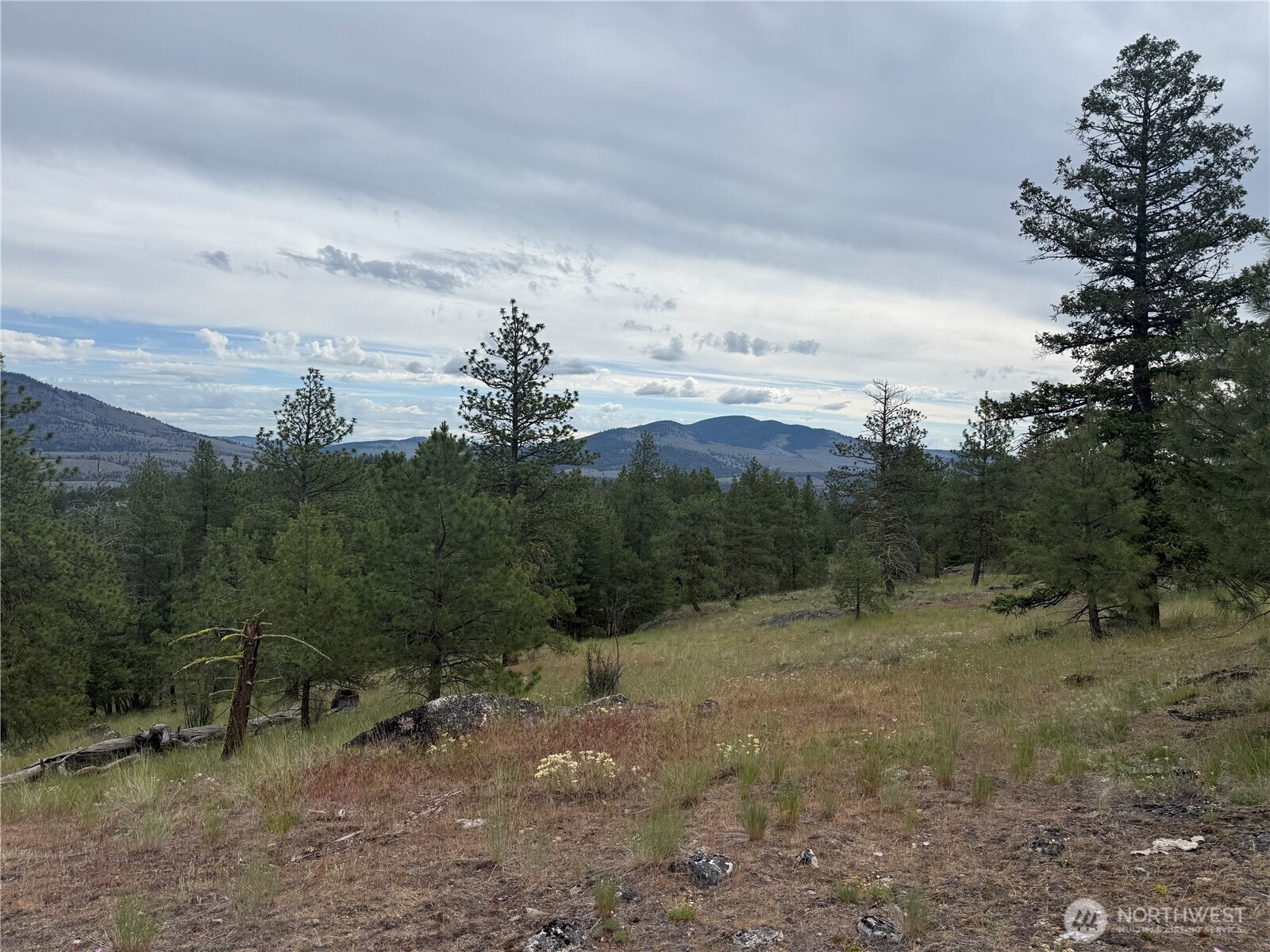 111 Tbd Patterson Creek Property Photo 23