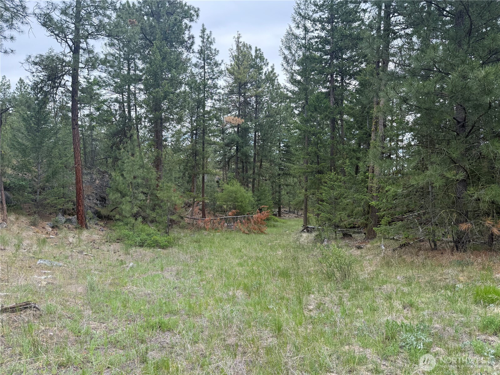 111 Tbd Patterson Creek Property Photo 25