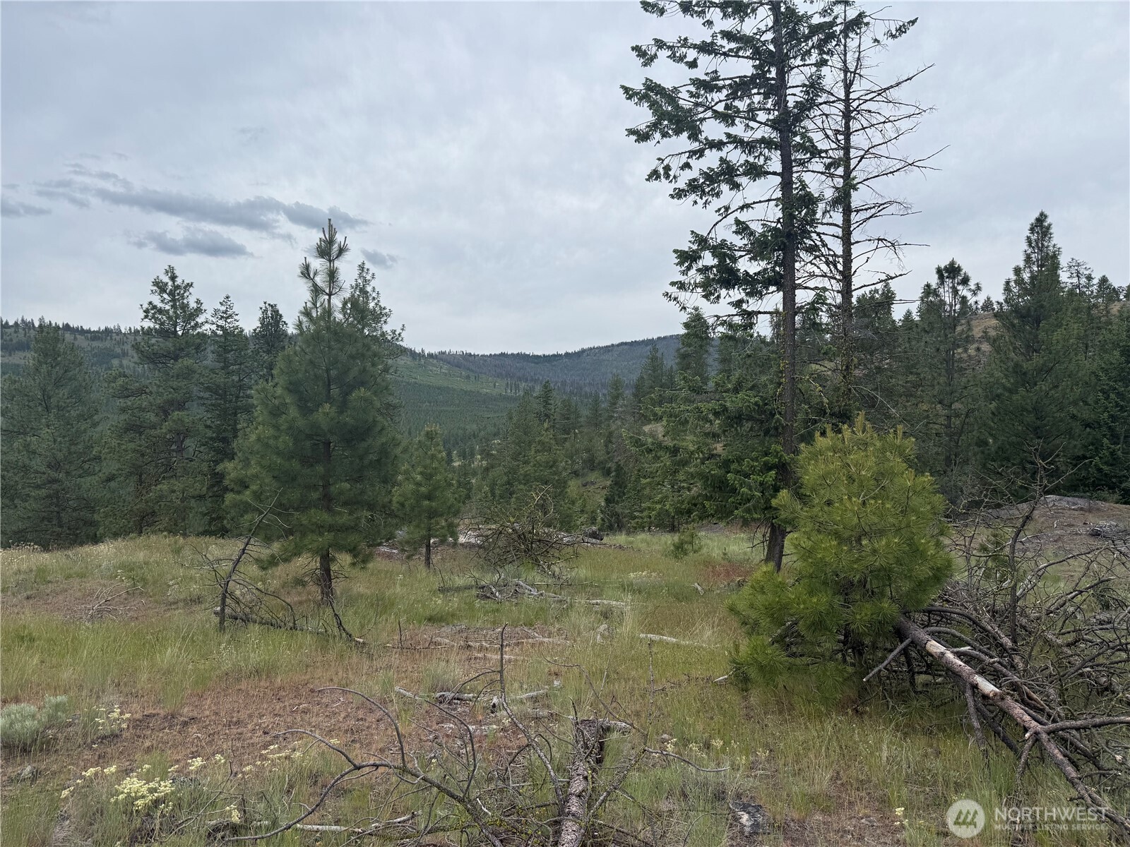 111 Tbd Patterson Creek Property Photo 26