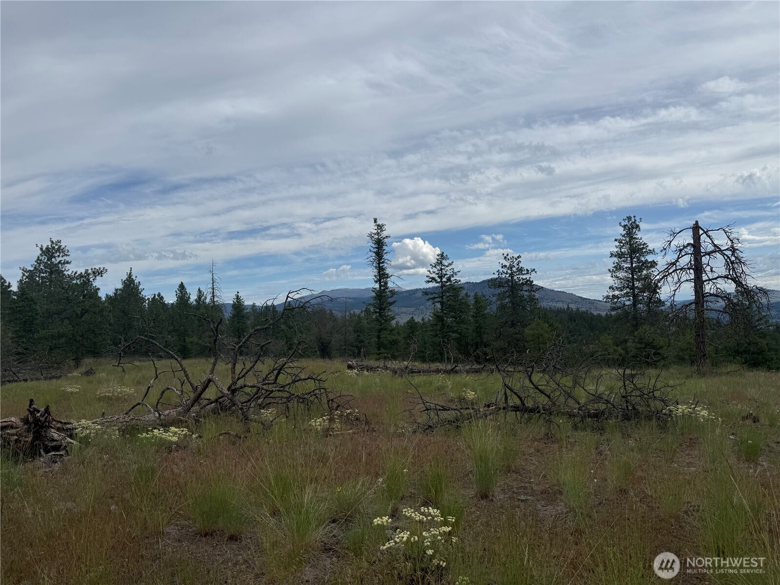111 Tbd Patterson Creek Property Photo 27