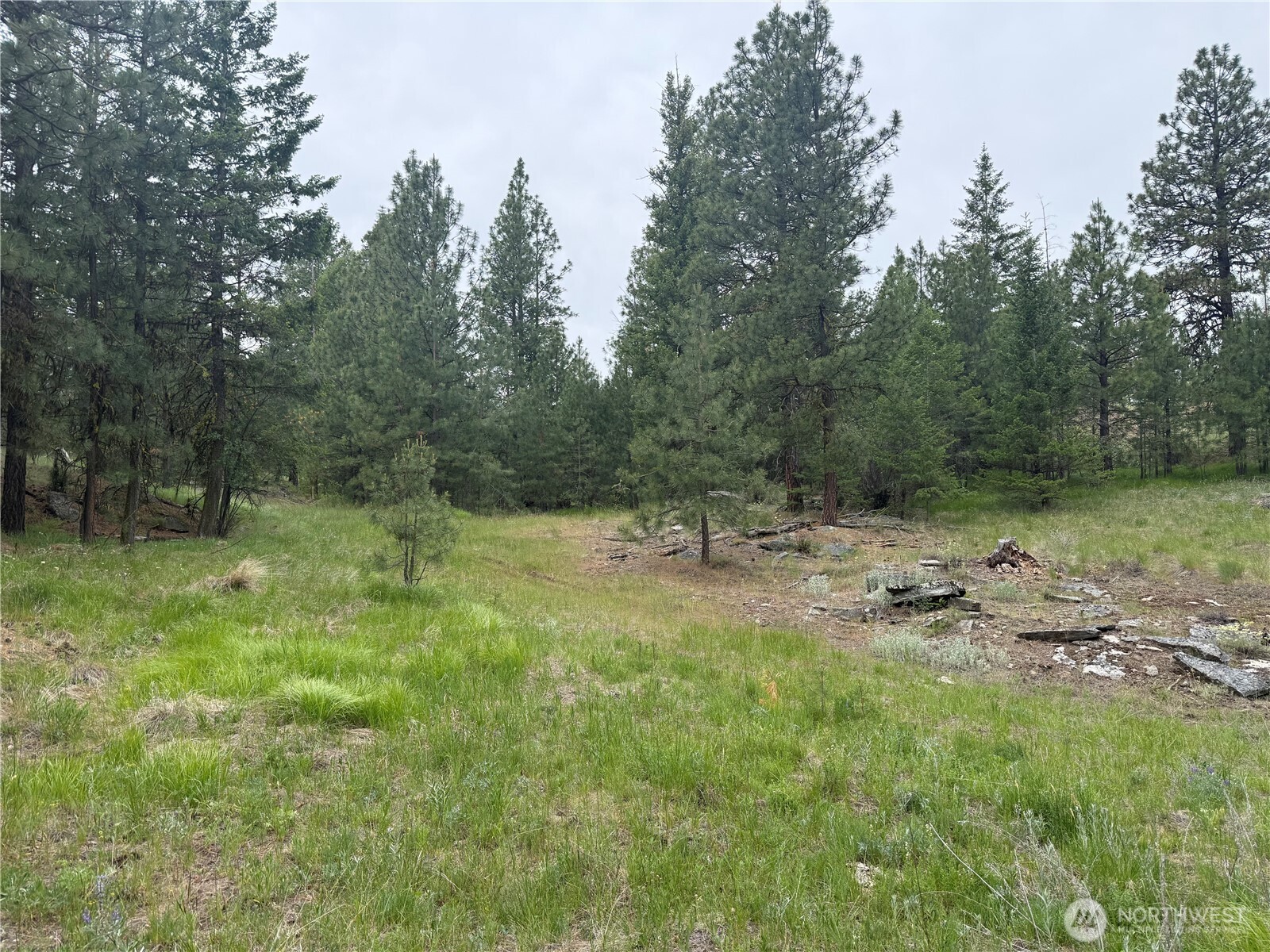111 Tbd Patterson Creek Property Photo 29