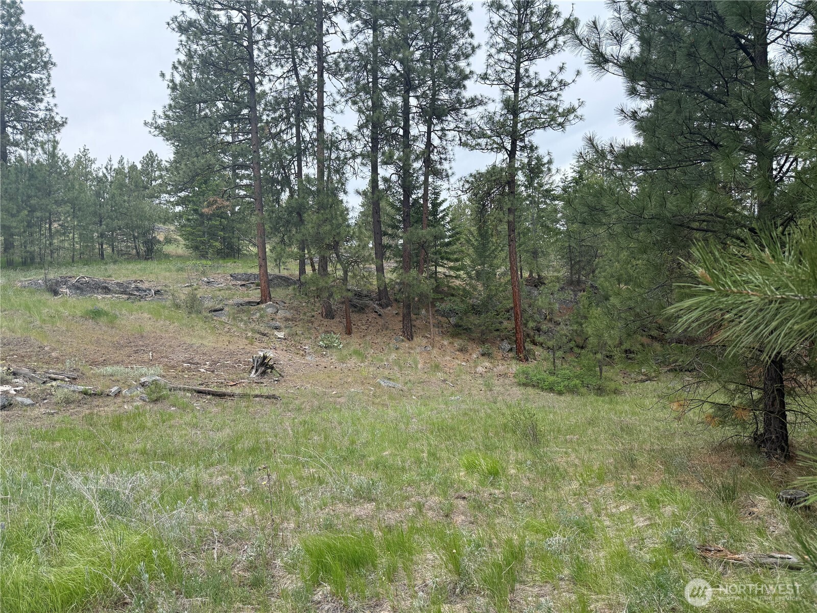 111 Tbd Patterson Creek Property Photo 30