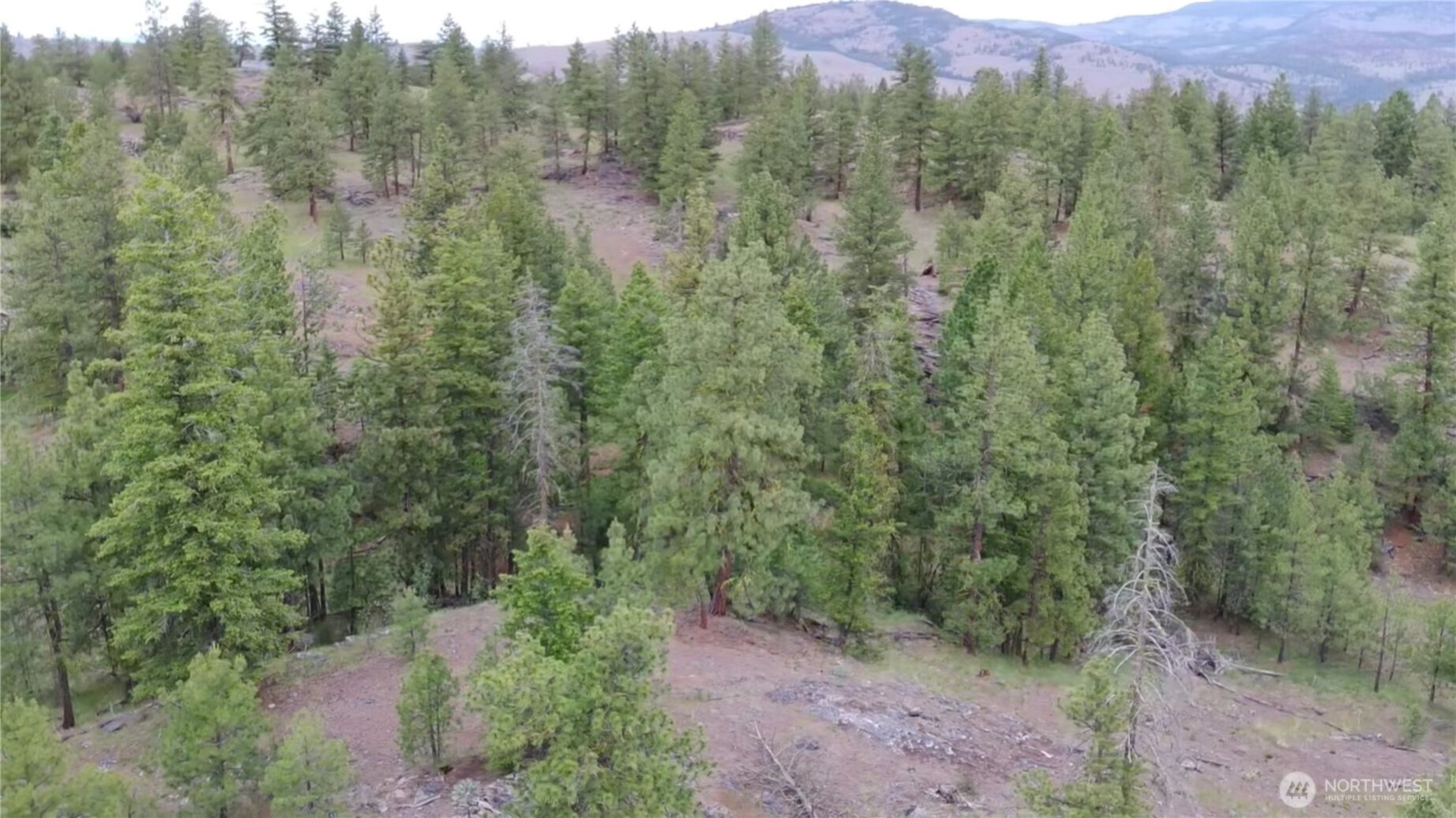 111 Tbd Patterson Creek Property Photo 32