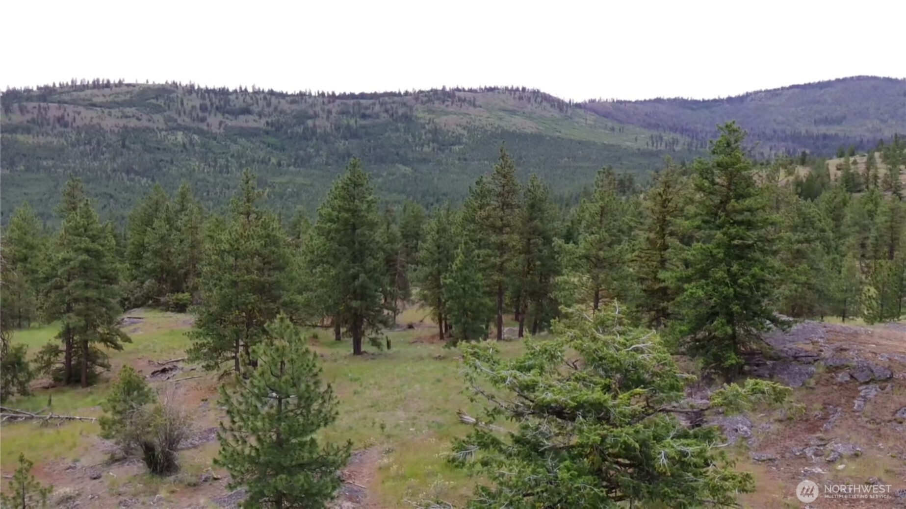 111 Tbd Patterson Creek Property Photo 37
