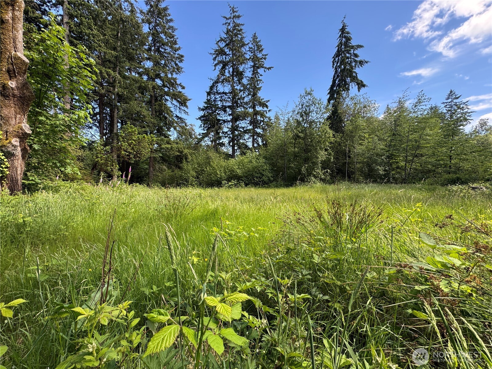 16330 93rd Avenue Property Photo 1