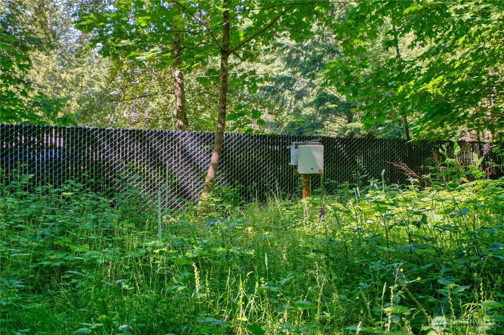 1885 Province Road Property Photo 8