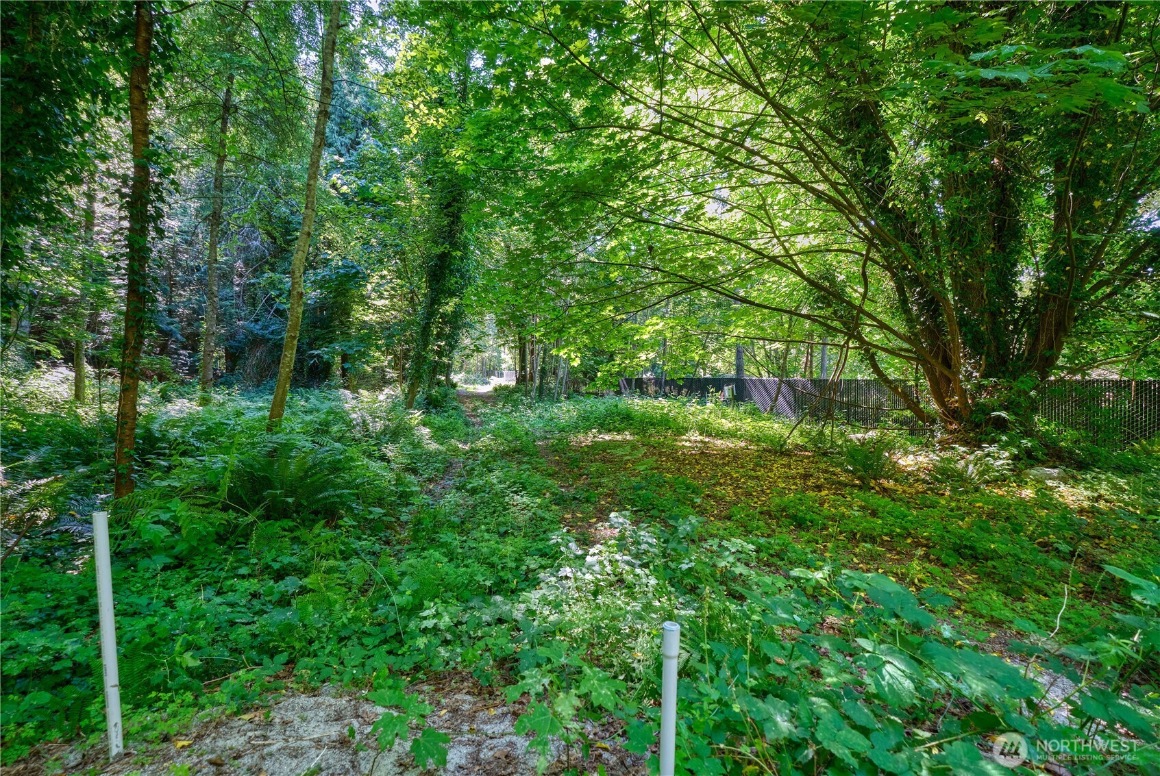 1885 Province Road Property Photo 9