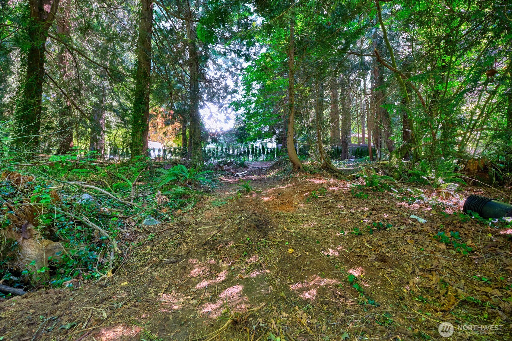 1885 Province Road Property Photo 11