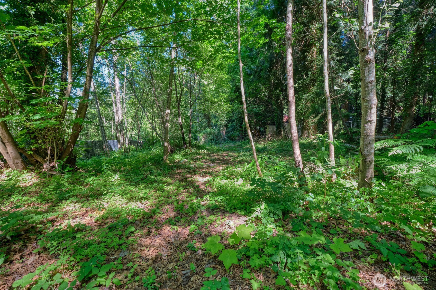 1885 Province Road Property Photo 12