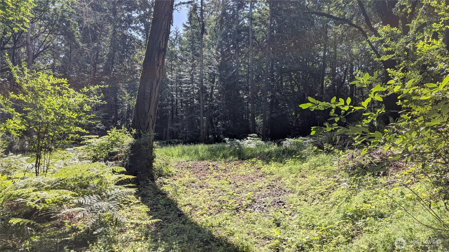 1629 148th Avenue Property Photo 7