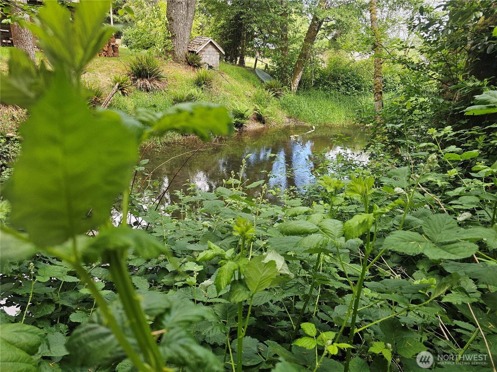 170 Bloedel Boulevard Property Photo 11