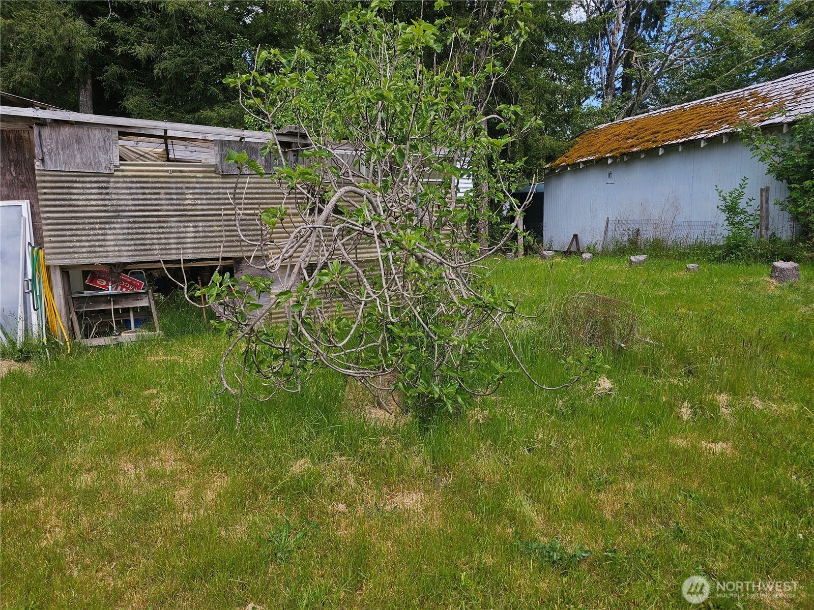 170 Bloedel Boulevard Property Photo 13