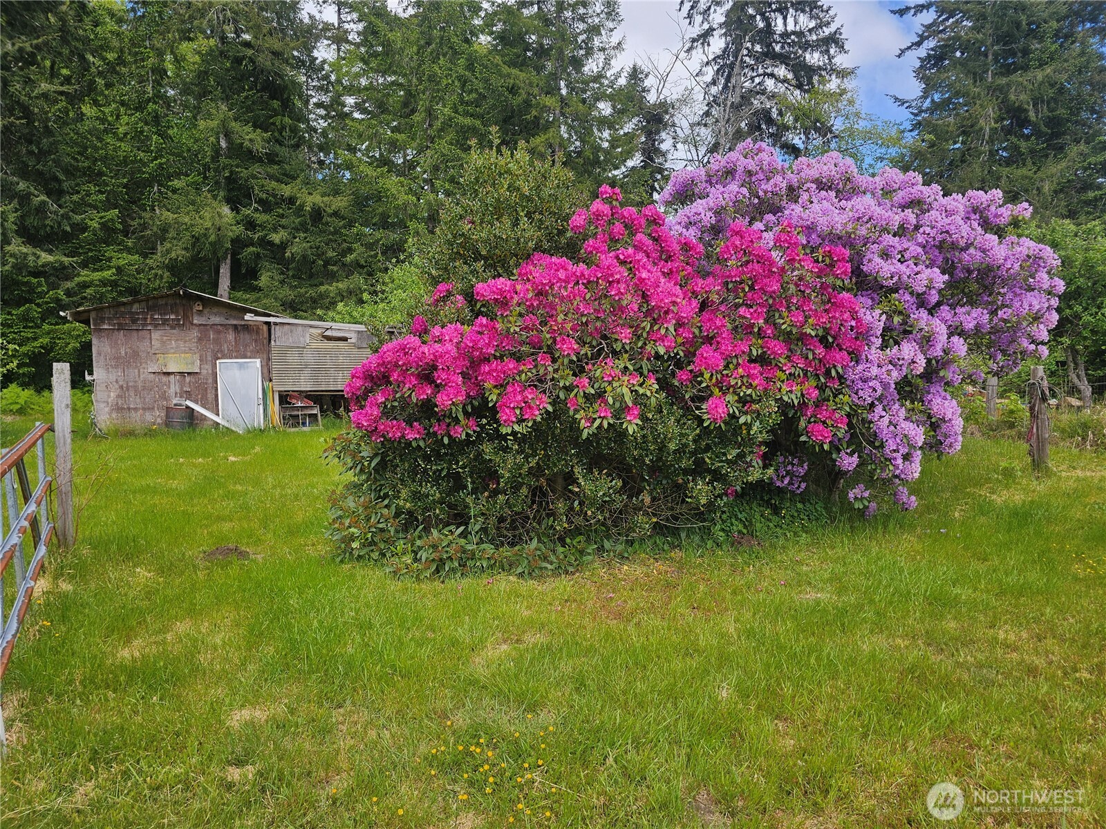 170 Bloedel Boulevard Property Photo 14