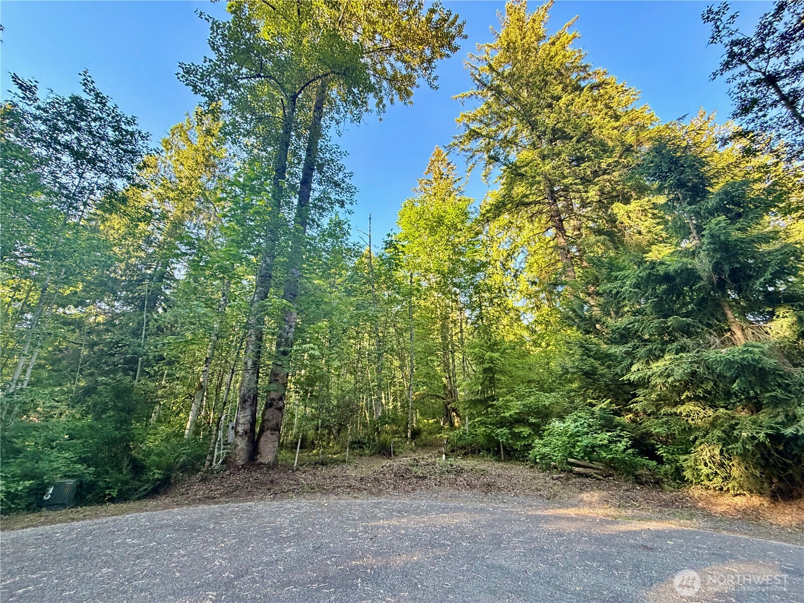 7546 Colleen Court Property Photo 3
