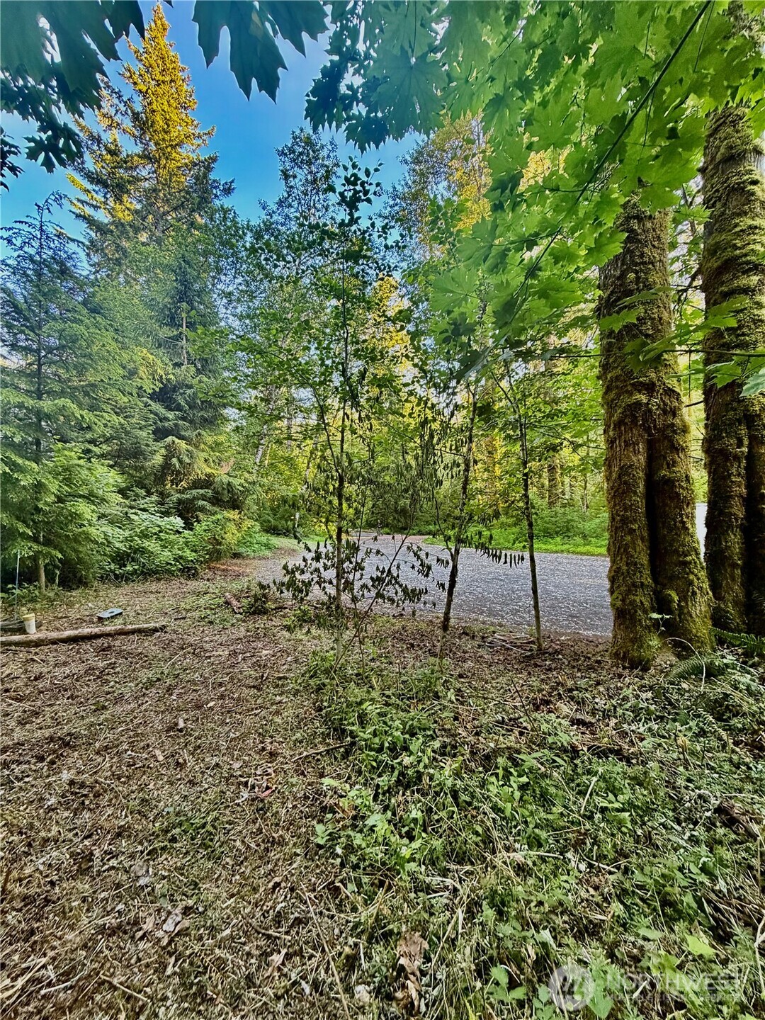 7546 Colleen Court Property Photo 5