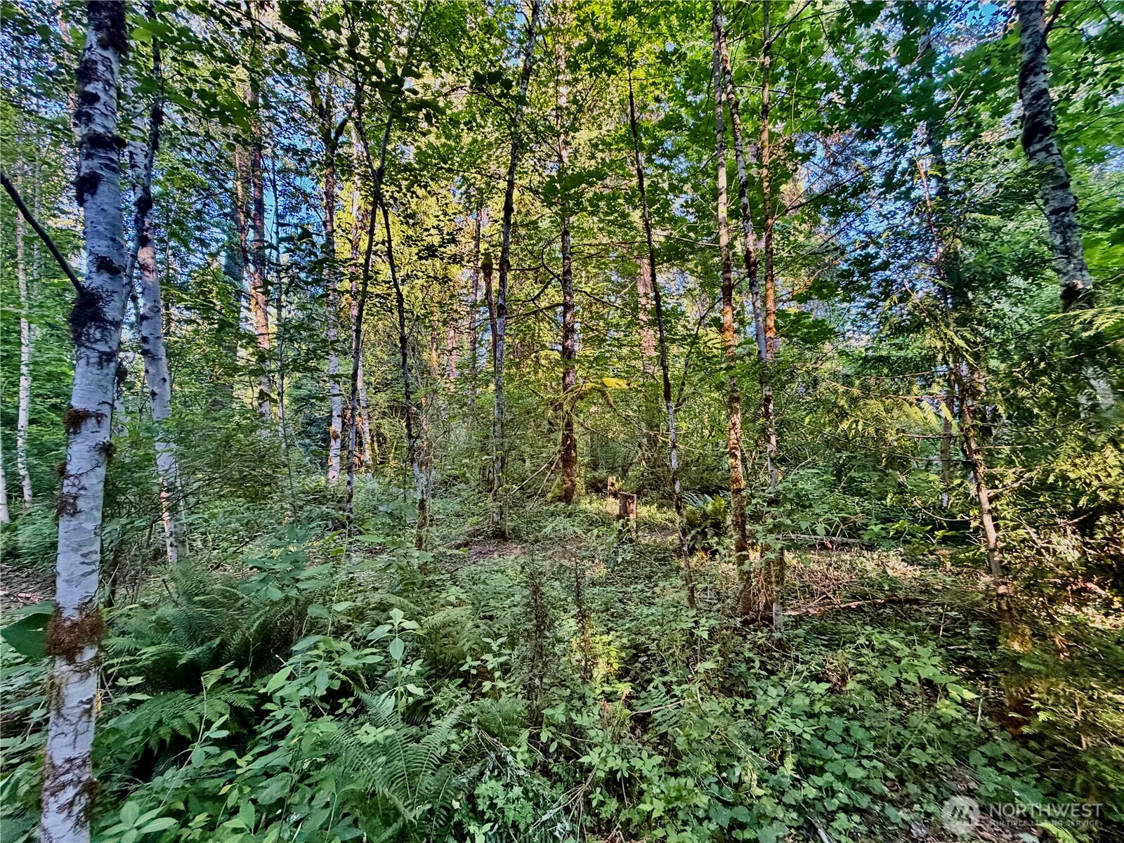 7546 Colleen Court Property Photo 7