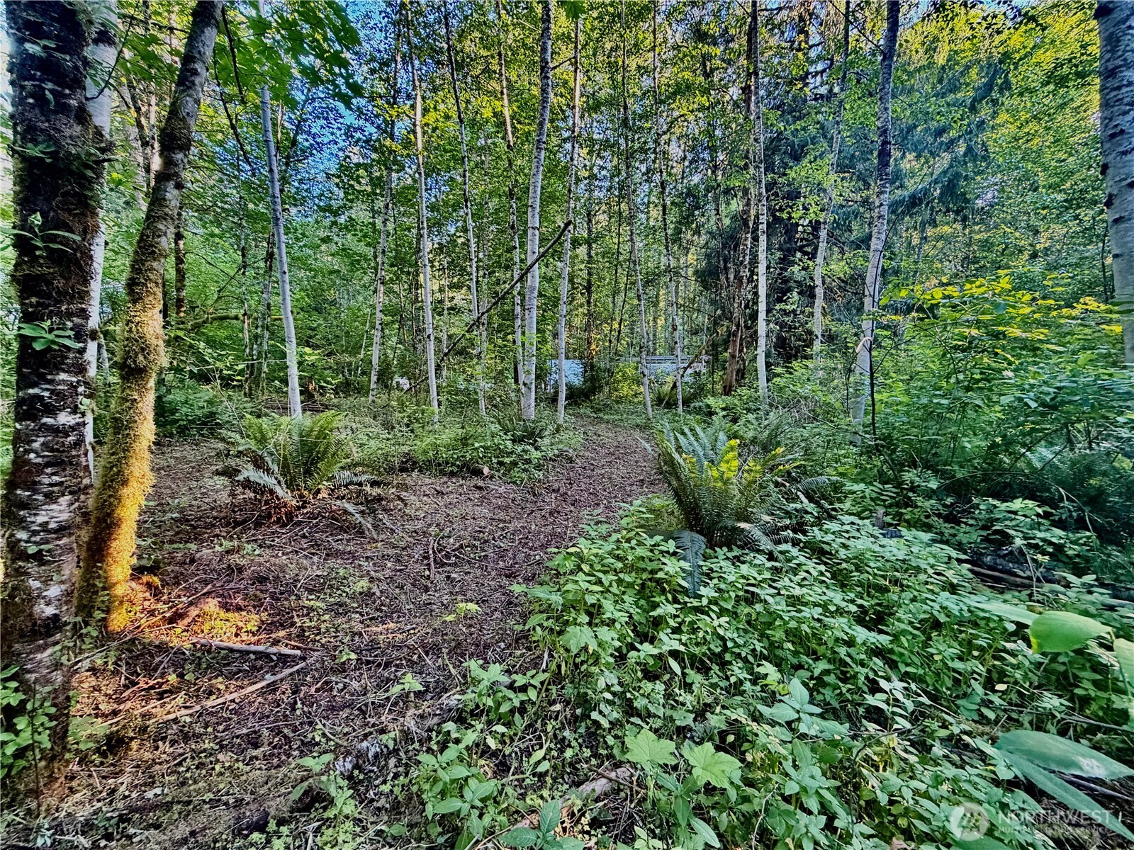 7546 Colleen Court Property Photo 13